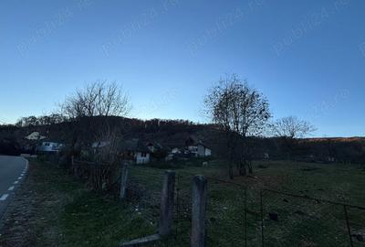 Teren de 1600 mp, în Mihăești - 5