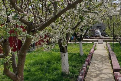 Casă cu 4 camere în Bucu - 2