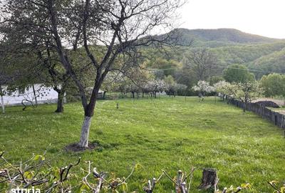 Teren de 1590 mp, în Firiza - 5