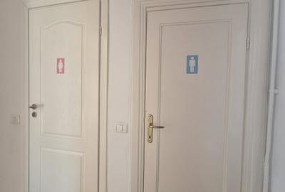 6 camere, P+1, Piata 1 Mai, Parc Kiseleff - 14