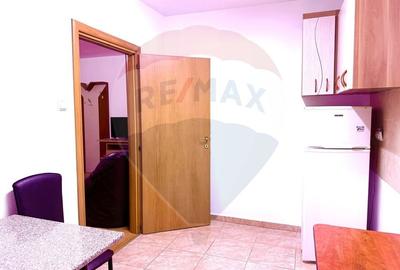 Apartament cu o camera de inchiriat - Cartier Prima Nufarul - 6