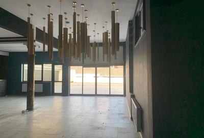 Spațiu comercial, de 300 mp, în Central - 2