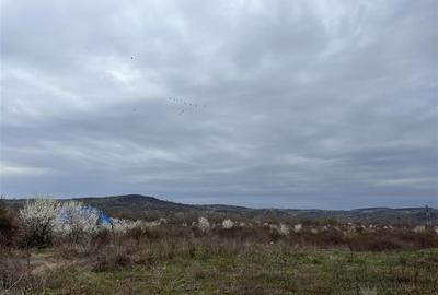 RECO IMOBILIARE ,TEREN Tineretului - 2