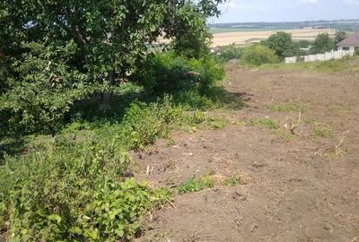 Spațiu comercial, în Dancaș - 2