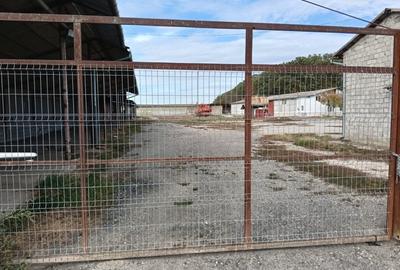 Ferma Agricolă 1.350 Hectare – Grad de Comasare 96–97%, Chișineu Criș, Județul A - 7