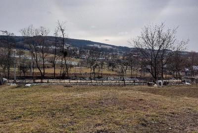 Teren de 1305 mp, în Valea Crișului - 3