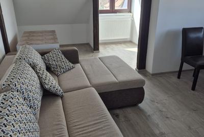 Apartament cu 2 camere decomandat, mobilat în Dumbrăvița - 13