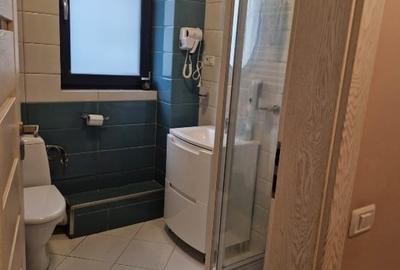 Apartament cu 3 camere semidecomandat, mobilat în Central - 9