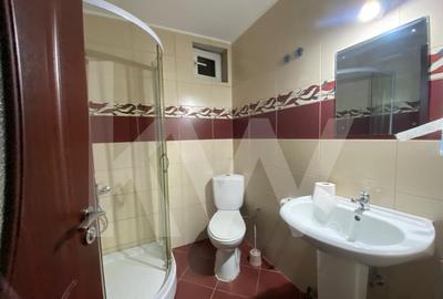 Apartament 2 camere de inchiriat - Cartier Tilisca - 12