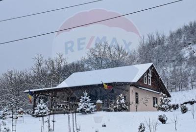 Casă cu 4 camere cu Teren 2700 Mp în Coțofănești - 2