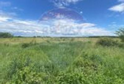 DE VANZARE Teren intravilan 600mp Drumul Piscul Mosului SISESTI - 18