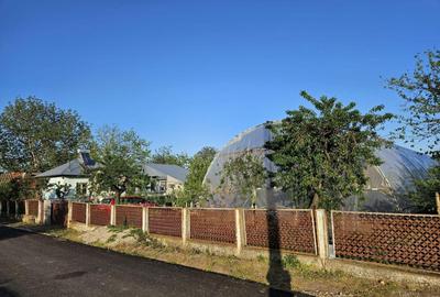 Casă cu 4 camere în Dracea - 4