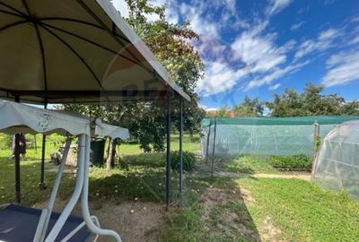 Casa str. Progresului , Sebes, destinatie : uni/multifam... - 13