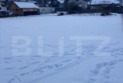 Teren de vanzare in Vorone?, 6000 mp + o casa batranea - 2