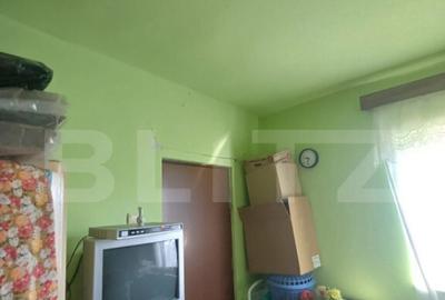 Casa renovabila, 2 camere, zona Cetate - 13