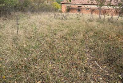 Teren de 9000 mp, în Sârbești - 4