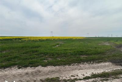 Teren de 36400 mp, în Central