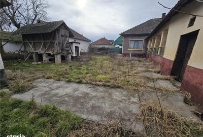 Casă cu 3 camere cu Teren 7900 Mp în Ciumeghiu - 6