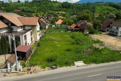 Intravilan, aria castelul Bran,utilitati,acces apreciabil: FILM! - 5