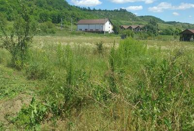 Vand teren intravilan Livezeni,900mp,drum privatla 100 m de strada principala. - 2