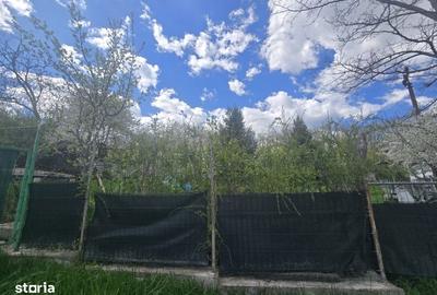 Spațiu comercial, în Copou