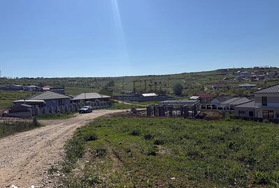 Teren de 850 mp, în Paleu - 1