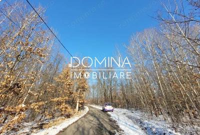 Teren de 1597 mp, în Scoarța - 2