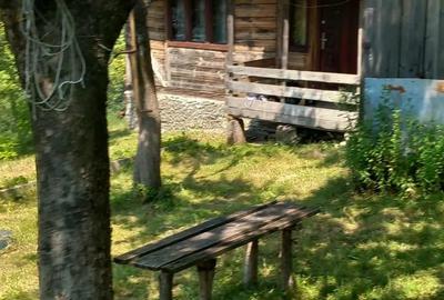 Casa locuibila + teren 8900 mp, utilita?i, anexa, livada-toate actele. - 8