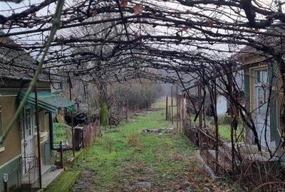 RECO Casa batraneasca cu teren generos in localitatea Tria - 3