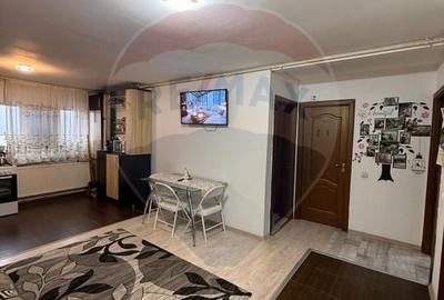 Apartament cu 3 camere de vanzare in zona Lapus - 5