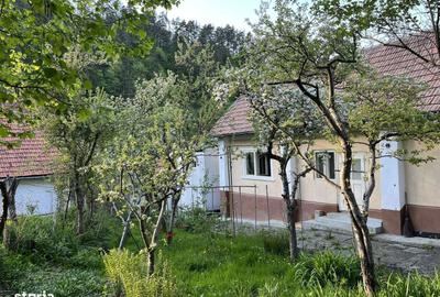 Teren de 707 mp, în Schei - 13
