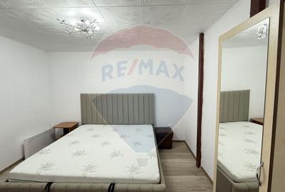 Casa / Vila cu 3 camere de inchiriat in zona Giurgiului - 2