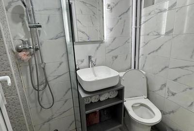 Apartament cu 2 camere semidecomandat în Valea Rosie - 2