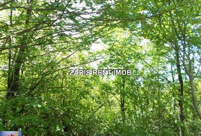 Teren intavilan langa Casa Seciu, Prahova - 6