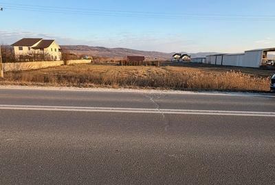 Teren de 1000 mp, în Buhoci - 10