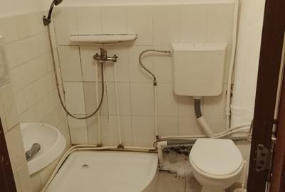 Garsonieră în Podu Roș - 4