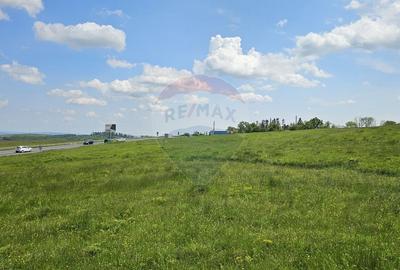 Teren agricol extravilan de 7000 mp, în Ilișești - 17