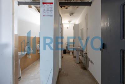 Proprietate cu casa si spatiu comercial+teren 4060 mp Bahna - 6
