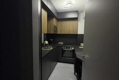 Apartament cu 2 camere decomandat, mobilat în Herăstrău - 3