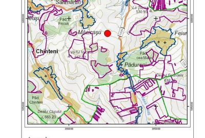 Teren de 8700 mp, în Chinteni - 1