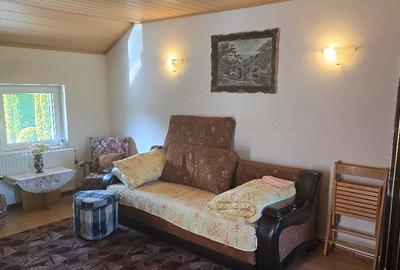 Vand proprietate in Deva. zona Ceangai, compusa din 2 case de locuit, - 12