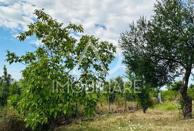 Teren în Central - 5