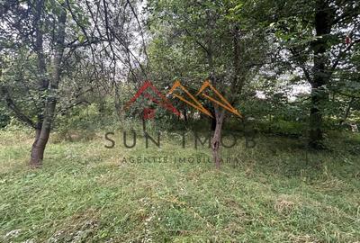 Teren intravilan, 1900 m2, zona Campinita, Campina, Prahova - 13