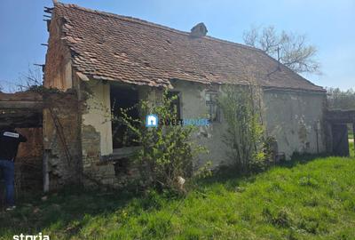 Teren de 3890 mp, în Șoarș - 8