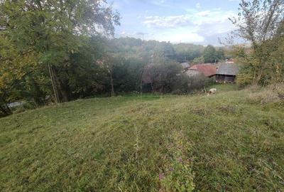 Casă cu 4 camere cu Teren 7000 Mp în Almașu Mare - 5