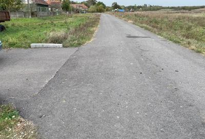 Teren de 4990 mp, în Duboz - 7
