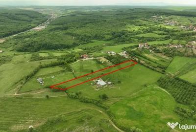 Teren de 5104 mp, în Cordău - 2