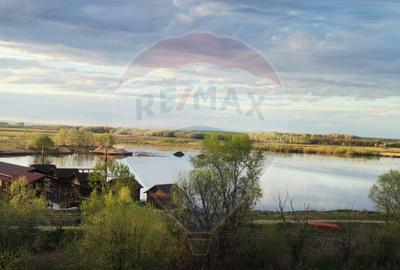 Ferma Piscicola ?i teren de 339ha Gruia / Drumul 56C - 6