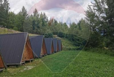 Casă cu 14 camere cu Teren 62000 Mp în Horea - 8