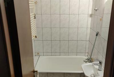 Apartament cu 1 camera in Tudor Vladimirescu - 4